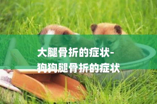 大腿骨折的癥狀-
狗狗腿骨折的癥狀