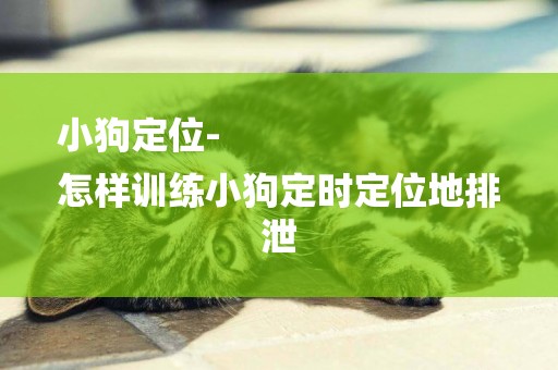 小狗定位-
怎樣訓練小狗定時定位地排泄