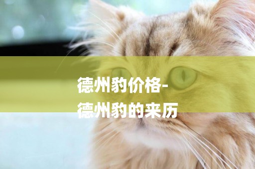 德州豹價格-
德州豹的來歷