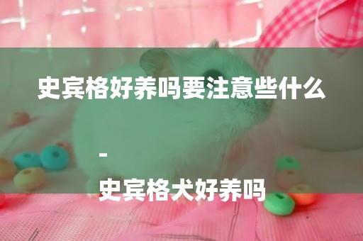 史賓格好養嗎要注意些什么-
史賓格犬好養嗎