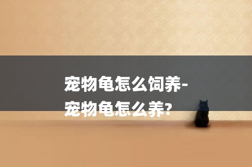 寵物龜怎么飼養-
寵物龜怎么養?