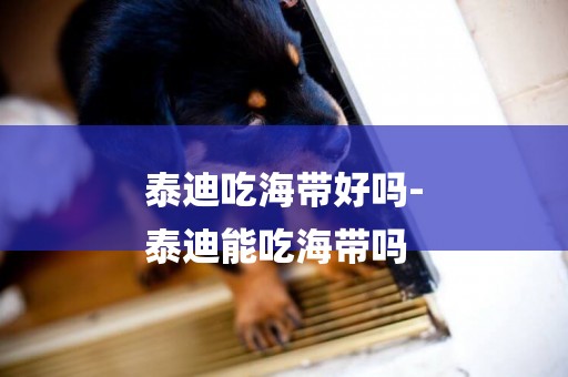 泰迪吃海帶好嗎-
泰迪能吃海帶嗎