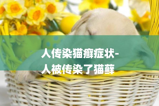 人傳染貓癬癥狀-
人被傳染了貓蘚