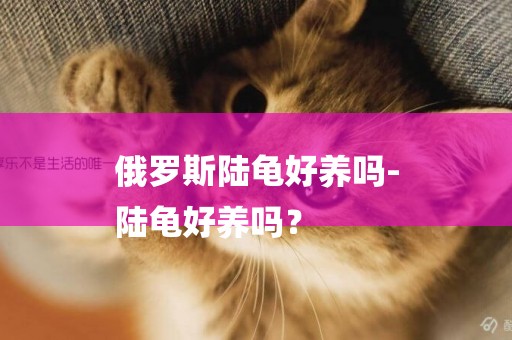 俄羅斯陸龜好養嗎-
陸龜好養嗎？