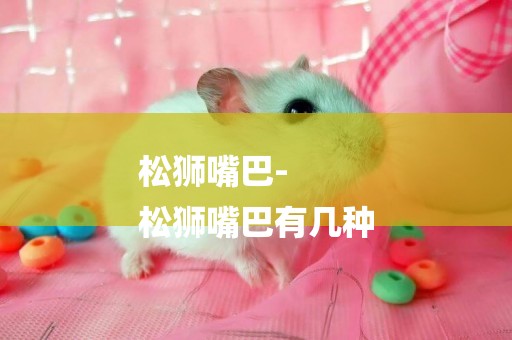 松獅嘴巴-
松獅嘴巴有幾種