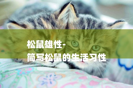 松鼠雄性-
簡寫松鼠的生活習性