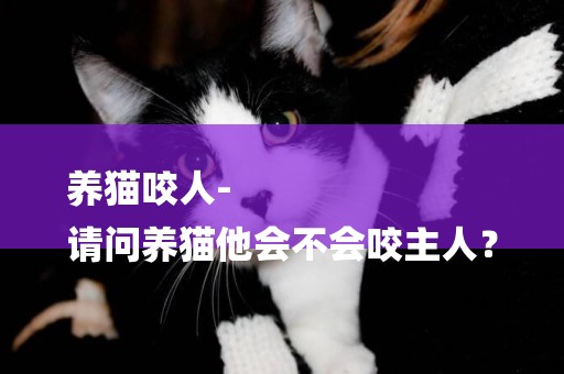 養貓咬人-
請問養貓他會不會咬主人？