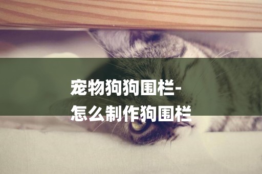 寵物狗狗圍欄-
怎么制作狗圍欄