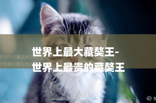 世界上最大藏獒王-
世界上最貴的藏獒王