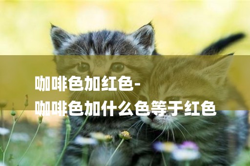 咖啡色加紅色-
咖啡色加什么色等于紅色