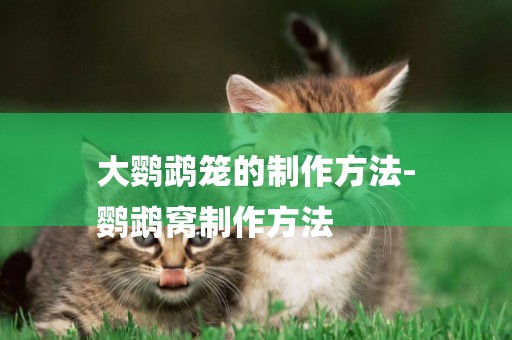 大鸚鵡籠的制作方法-
鸚鵡窩制作方法