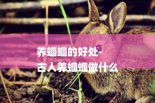 養蟈蟈的好處-
古人養蟈蟈做什么