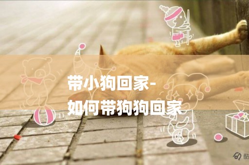 帶小狗回家-
如何帶狗狗回家