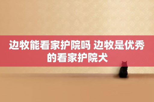 邊牧能看家護院嗎 邊牧是優秀的看家護院犬