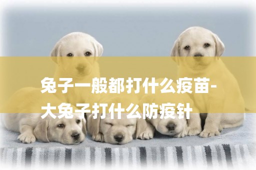 兔子一般都打什么疫苗-
大兔子打什么防疫針
