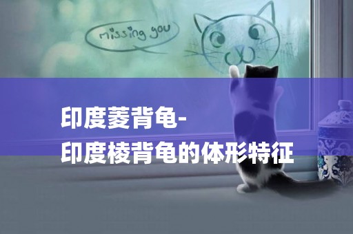 印度菱背龜-
印度棱背龜的體形特征