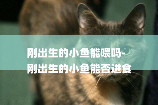剛出生的小魚能喂嗎-
剛出生的小魚能否進食