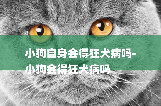 小狗自身會得狂犬病嗎-
小狗會得狂犬病嗎
