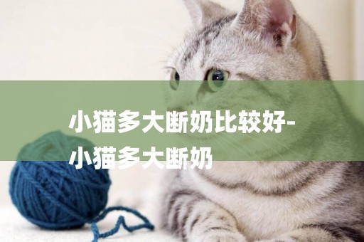 小貓多大斷奶比較好-
小貓多大斷奶