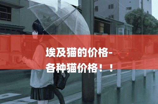 埃及貓的價格-
各種貓價格！！