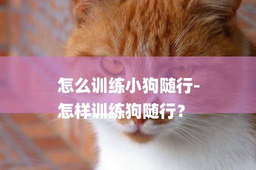 怎么訓練小狗隨行-
怎樣訓練狗隨行？