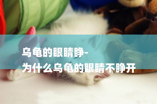 烏龜的眼睛睜-
為什么烏龜的眼睛不睜開