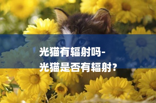 光貓有輻射嗎-
光貓是否有輻射？