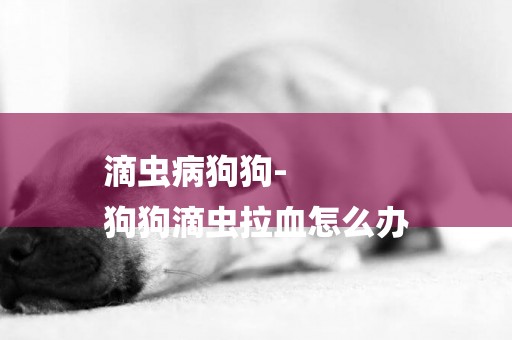 滴蟲病狗狗-
狗狗滴蟲拉血怎么辦