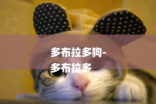 多布拉多狗-
多布拉多