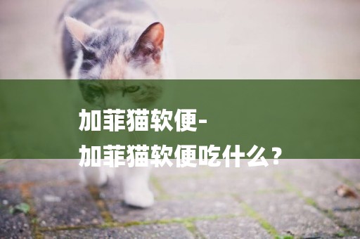 加菲貓軟便-
加菲貓軟便吃什么？