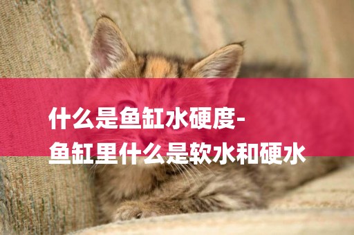 什么是魚缸水硬度-
魚缸里什么是軟水和硬水