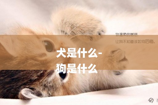 犬是什么-
狗是什么