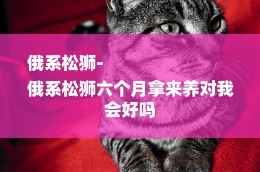 俄系松獅-
俄系松獅六個月拿來養對我會好嗎