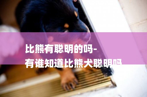 比熊有聰明的嗎-
有誰知道比熊犬聰明嗎