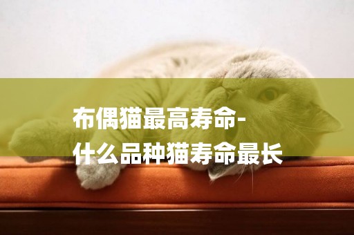 布偶貓最高壽命-
什么品種貓壽命最長