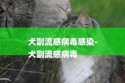 犬副流感病毒感染-
犬副流感病毒