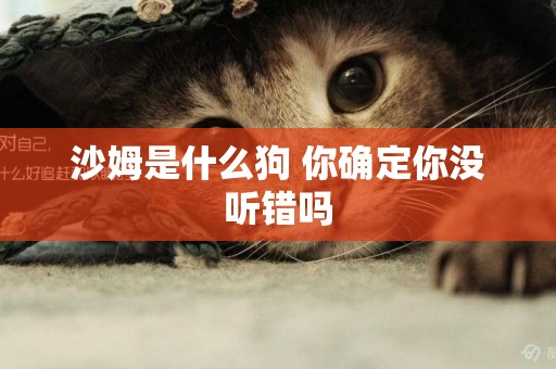沙姆是什么狗 你確定你沒聽錯嗎