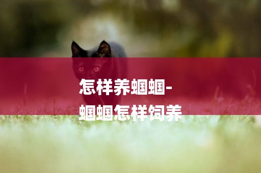 怎樣養蟈蟈-
蟈蟈怎樣飼養