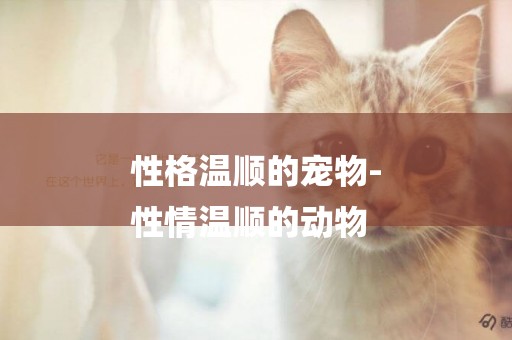 性格溫順的寵物-
性情溫順的動物