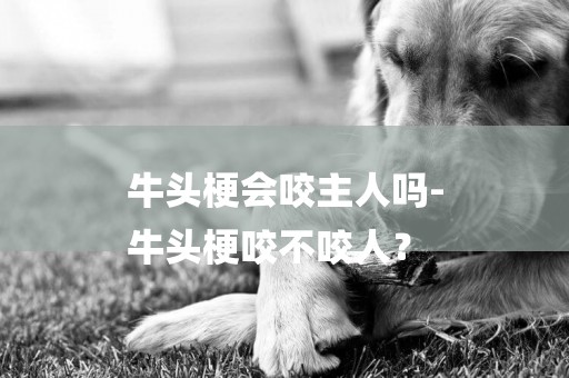 牛頭梗會咬主人嗎-
牛頭梗咬不咬人？