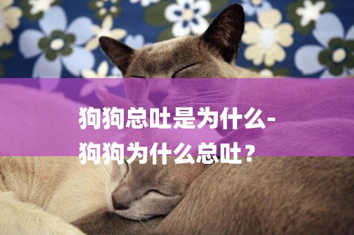 狗狗總吐是為什么-
狗狗為什么總吐？