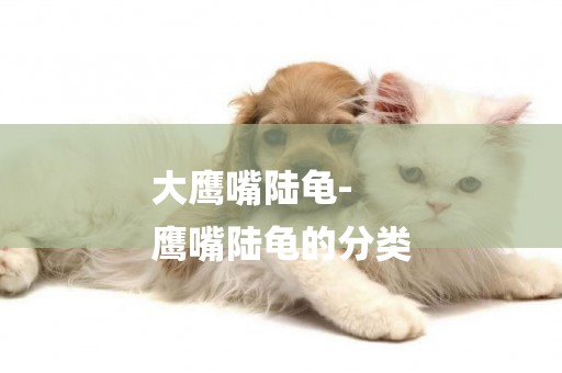 大鷹嘴陸龜-
鷹嘴陸龜的分類