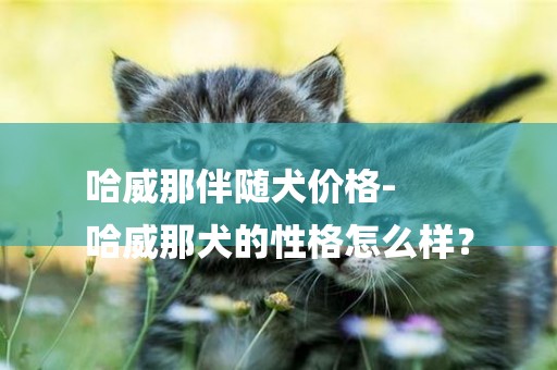 哈威那伴隨犬價格-
哈威那犬的性格怎么樣？