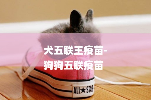 犬五聯王疫苗-
狗狗五聯疫苗