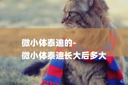 微小體泰迪的-
微小體泰迪長大后多大