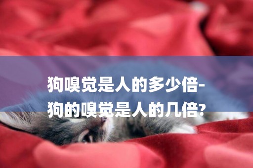 狗嗅覺是人的多少倍-
狗的嗅覺是人的幾倍?