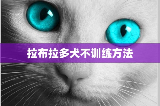 拉布拉多犬不訓練方法