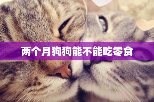 兩個月狗狗能不能吃零食