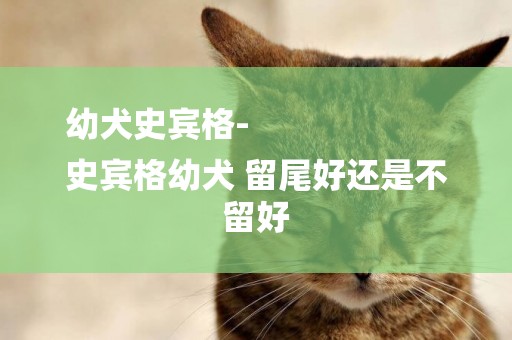 幼犬史賓格-
史賓格幼犬 留尾好還是不留好