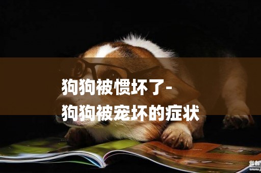 狗狗被慣壞了-
狗狗被寵壞的癥狀